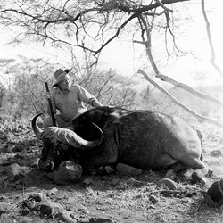 Hemingway cazador de búfalos