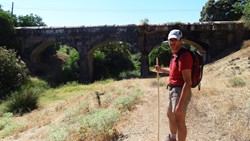 Romerillo en el puente del arroyo Pedroches